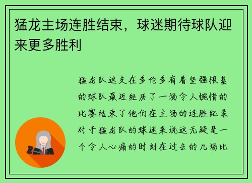 猛龙主场连胜结束，球迷期待球队迎来更多胜利